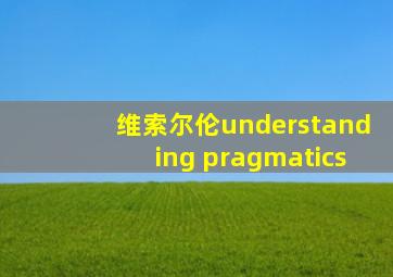 维索尔伦understanding pragmatics